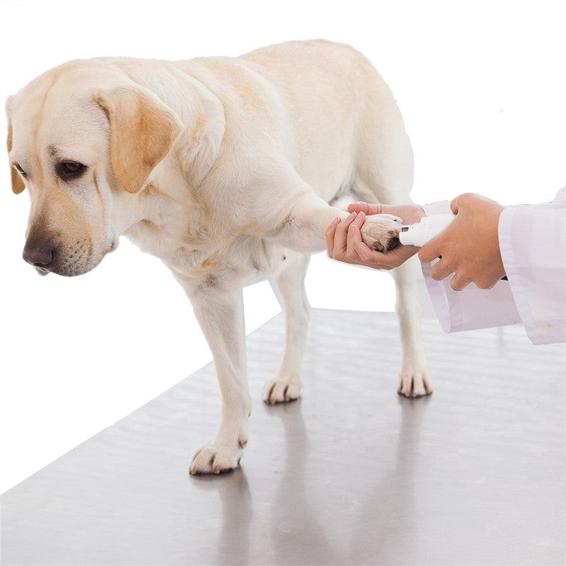 Electric Pet Nail Grinder with Rechargeable Battery