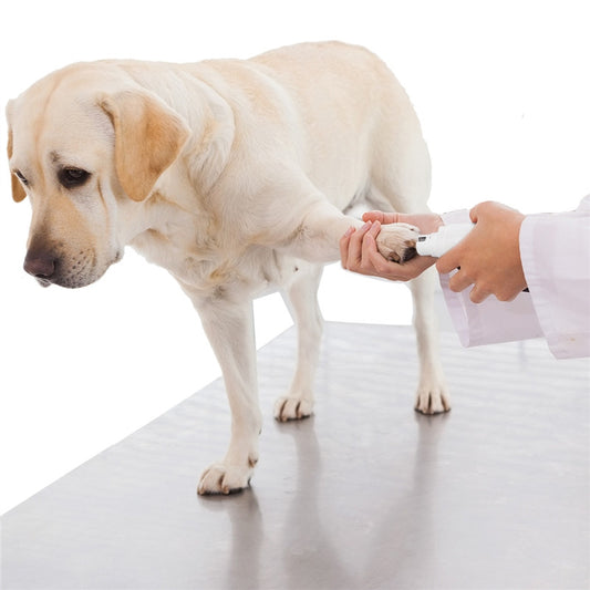 Electric Pet Nail Grinder with Rechargeable Battery