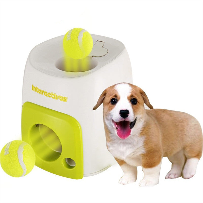 Dog Toys