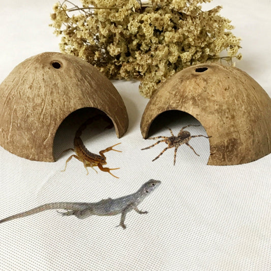 Natural Coconut Shell Reptile Habitat