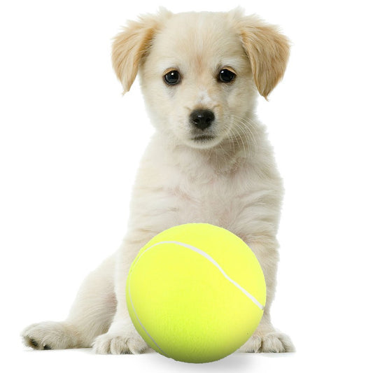 Tennis Ball Large